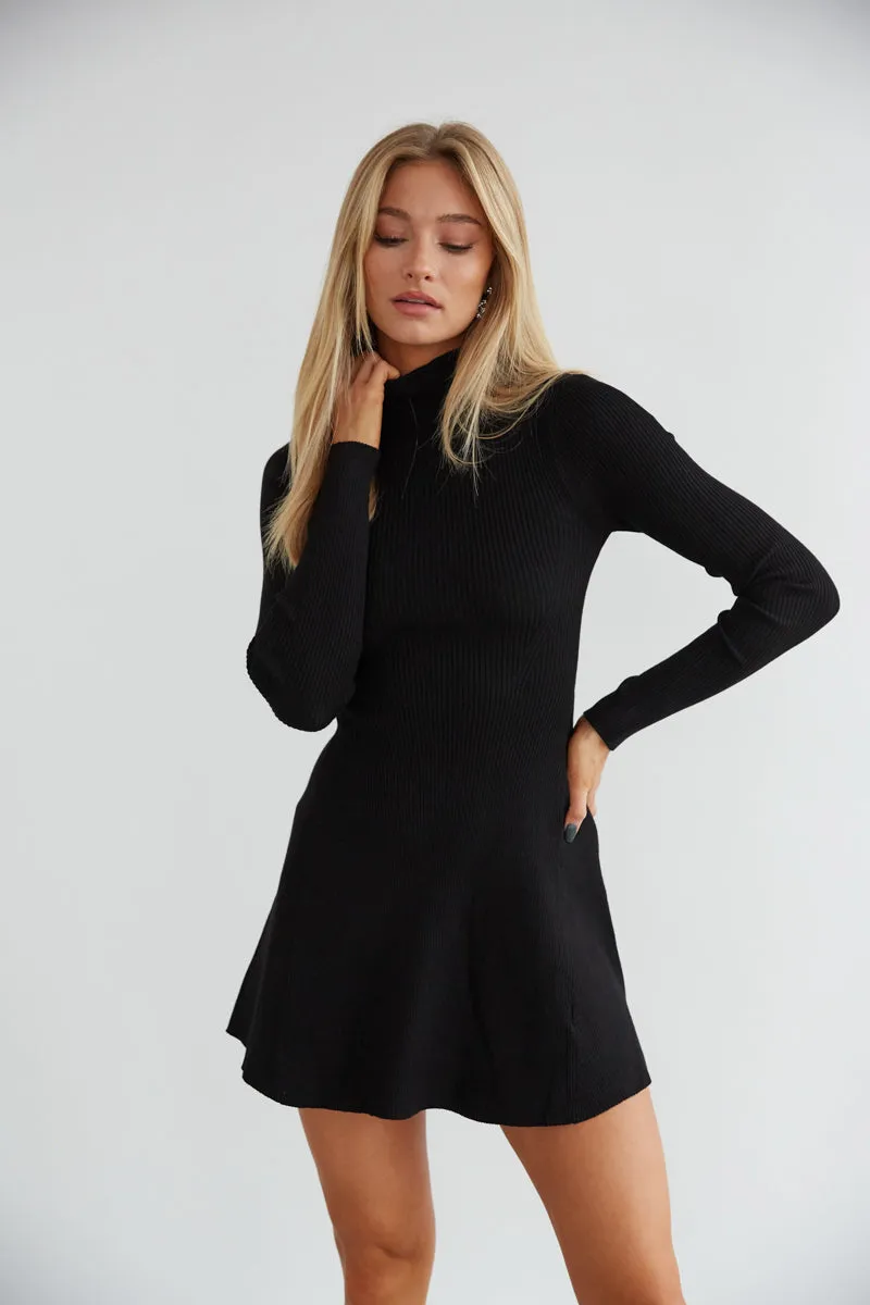 Millie Knit Long Sleeve Turtleneck Skater Mini Dress